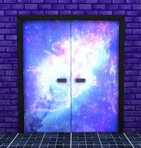 3384663.jpg