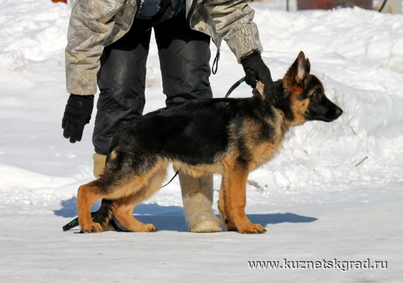http://4put.ru/pictures/max/1101/3385122.jpg