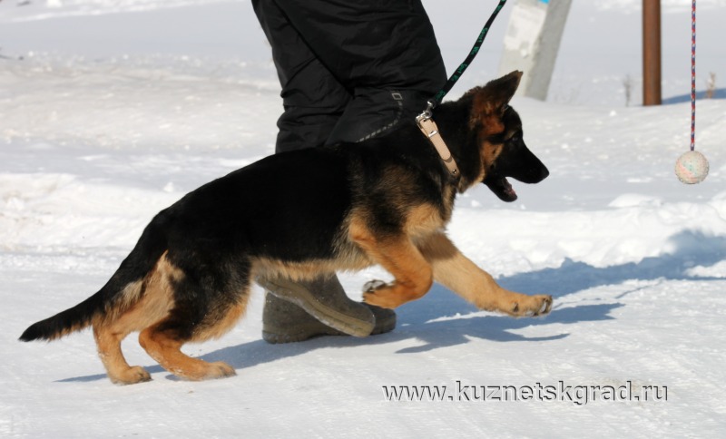 http://4put.ru/pictures/max/1101/3385126.jpg