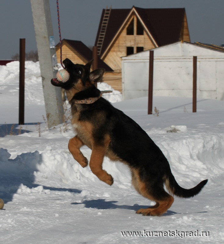http://4put.ru/pictures/max/1101/3385128.jpg