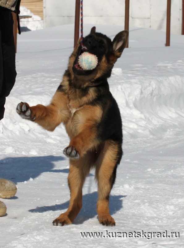 http://4put.ru/pictures/max/1102/3387178.jpg