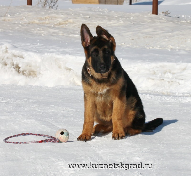 http://4put.ru/pictures/max/1102/3387221.jpg