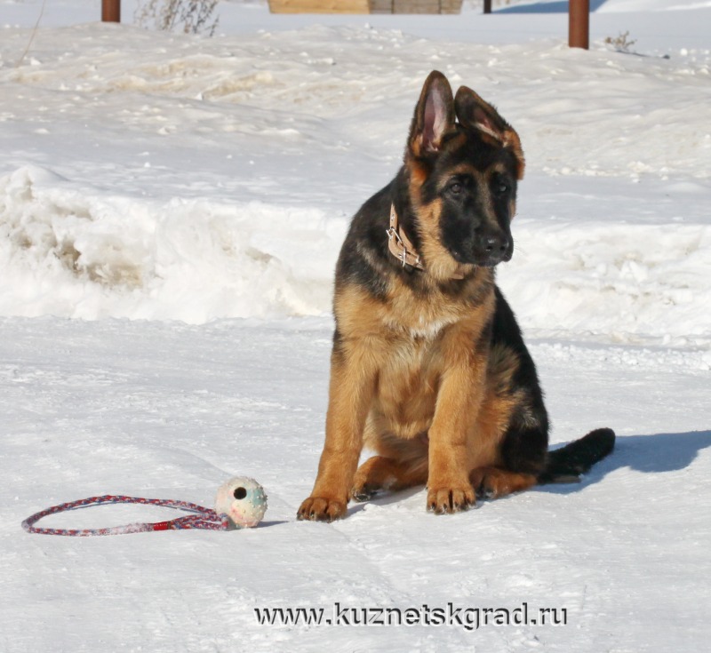 http://4put.ru/pictures/max/1102/3387223.jpg