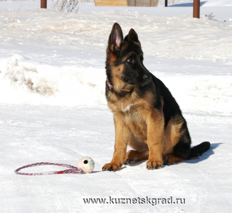 http://4put.ru/pictures/max/1102/3387224.jpg