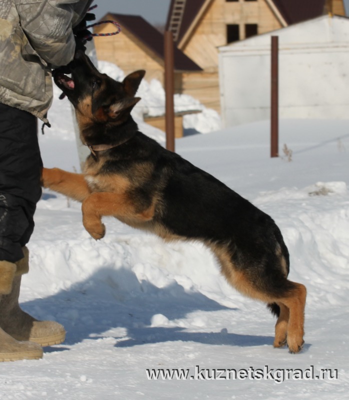 http://4put.ru/pictures/max/1102/3387675.jpg