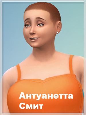 3408460.jpg