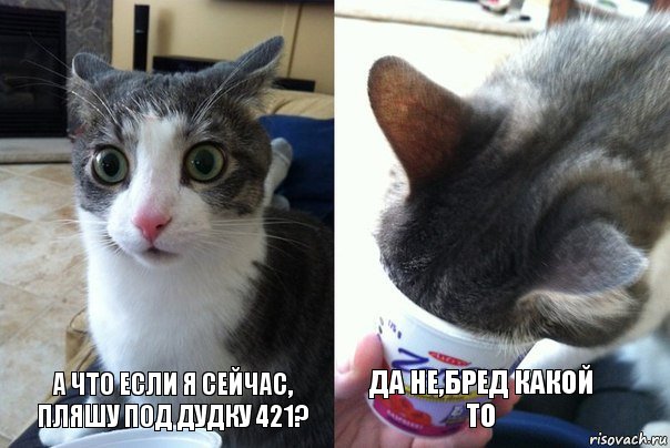 3416753.jpg