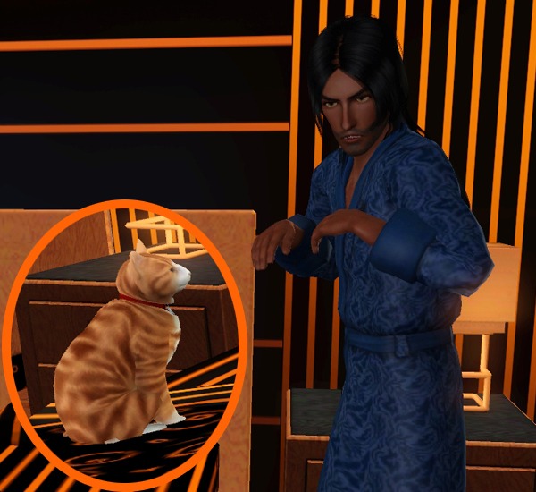 3420387.jpg