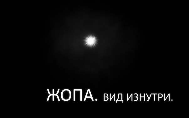 3423848.jpg
