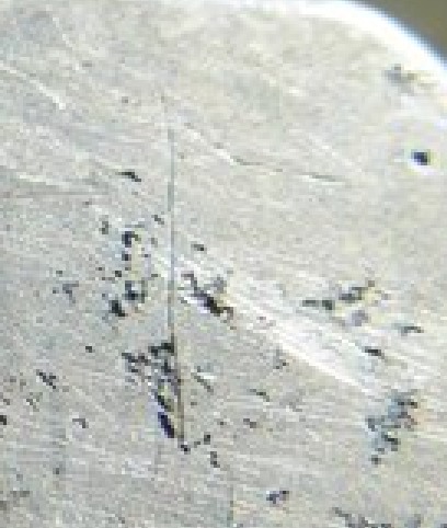 3430228.jpg