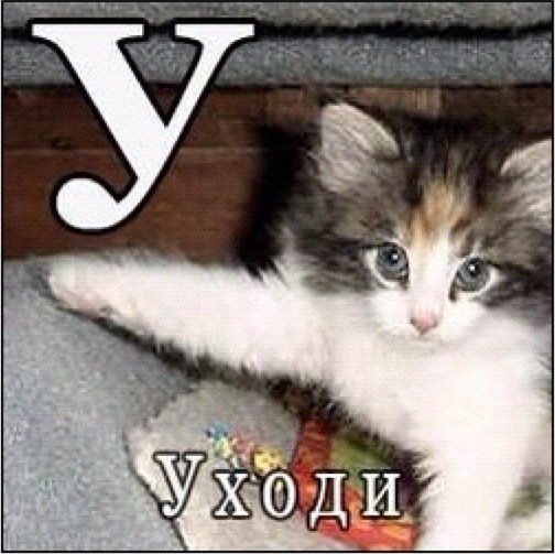 http://4put.ru/pictures/max/1117/3431740.jpg