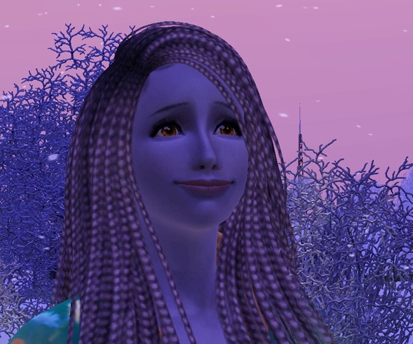3459716.jpg