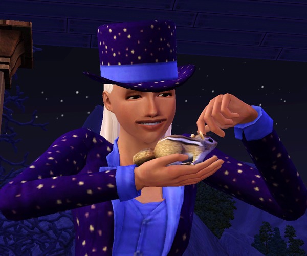 3464076.jpg