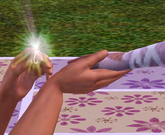 3478389.jpg