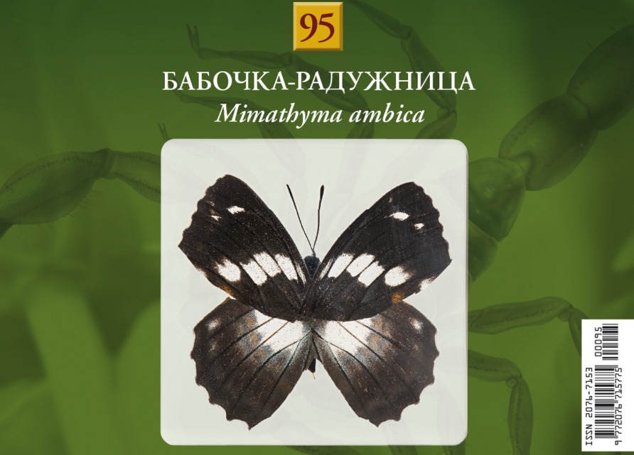 Насекомые и их знакомые 2014 - График Выхода и обсуждение