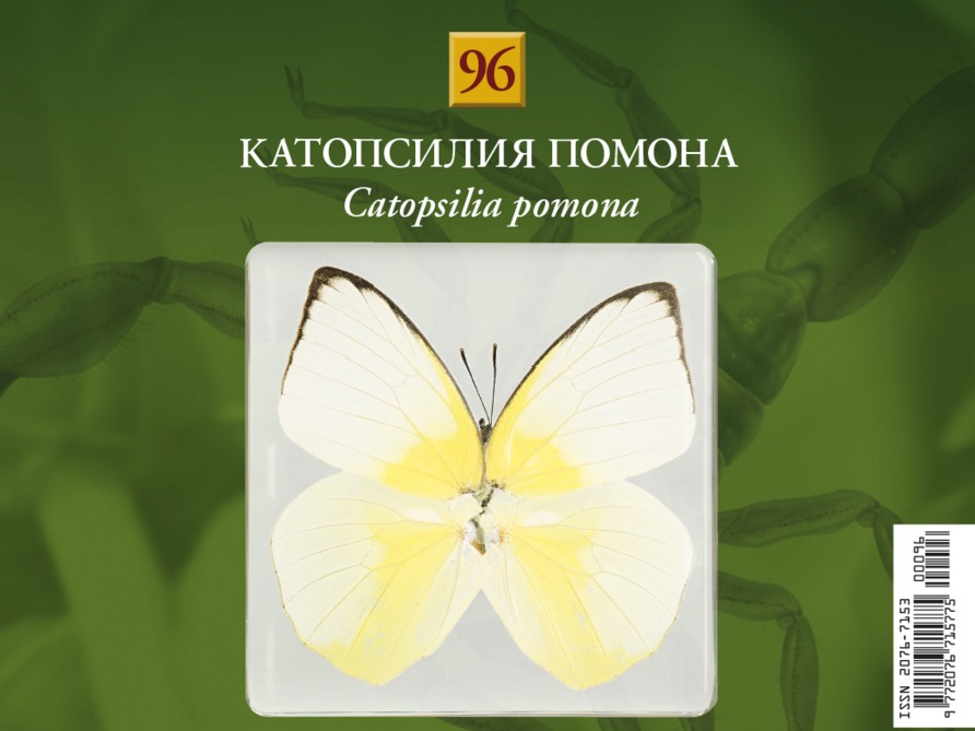Насекомые и их знакомые 2014 - График Выхода и обсуждение