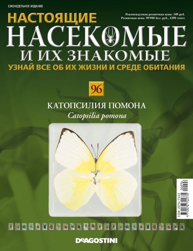 Насекомые и их знакомые 2014 - График Выхода и обсуждение