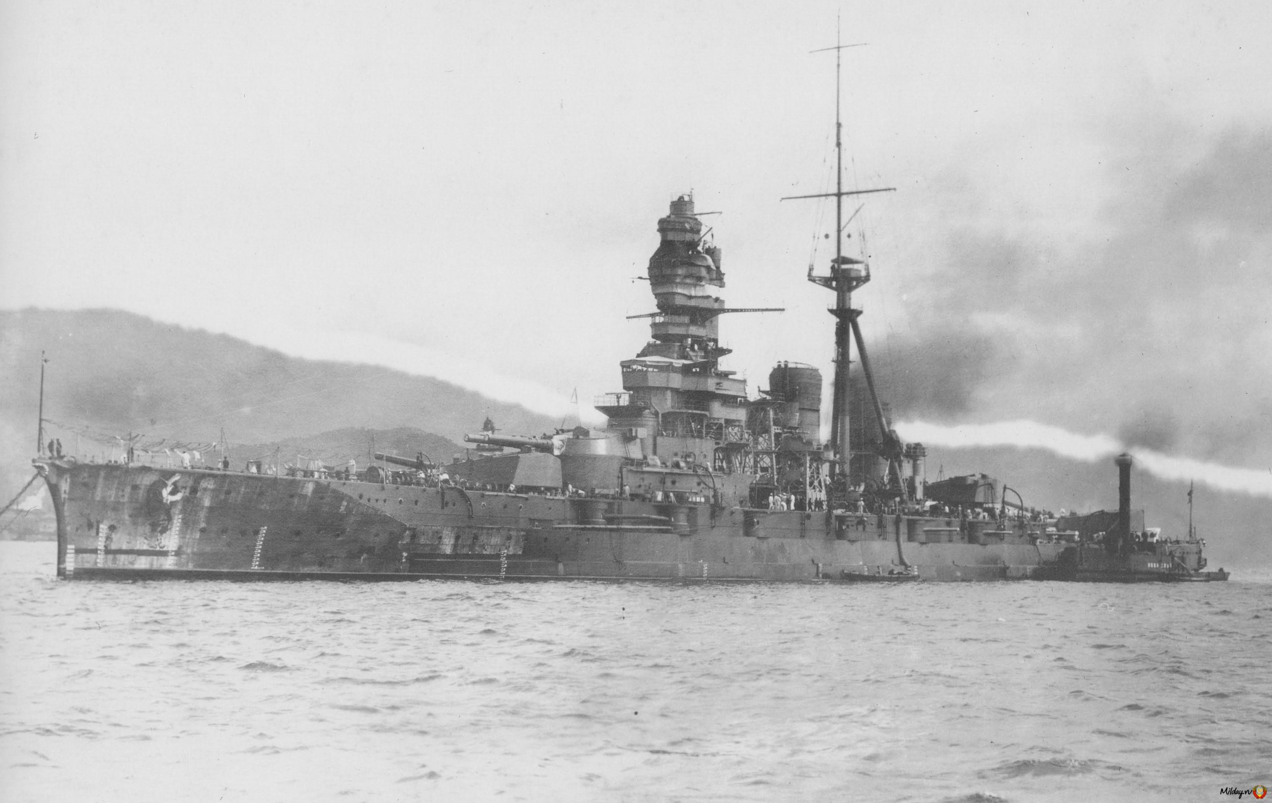 3511421.jpg
