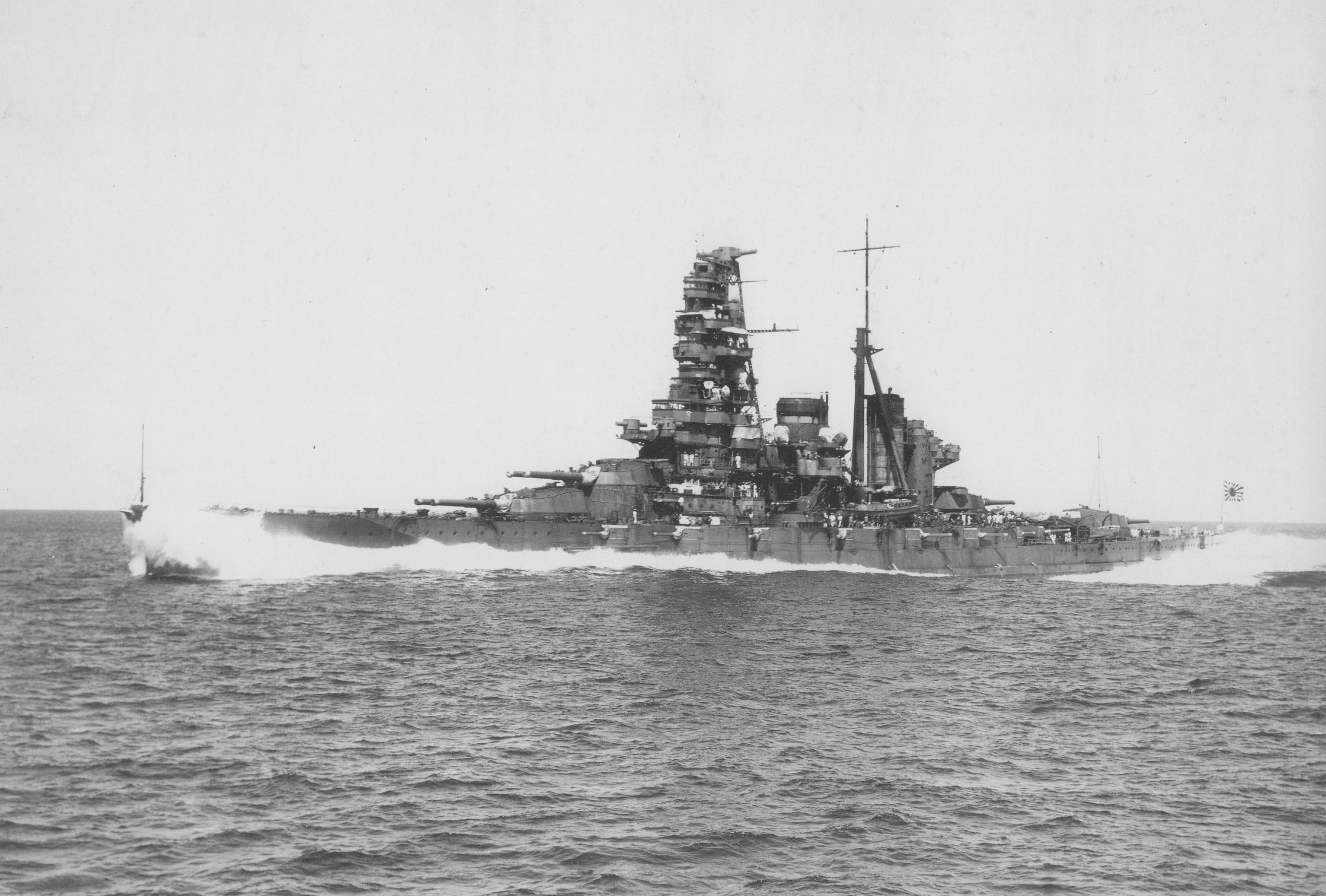 3511432.jpg
