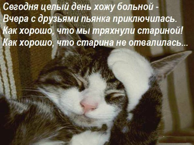 Красивые тосты для свекра Красивые тосты для свекра