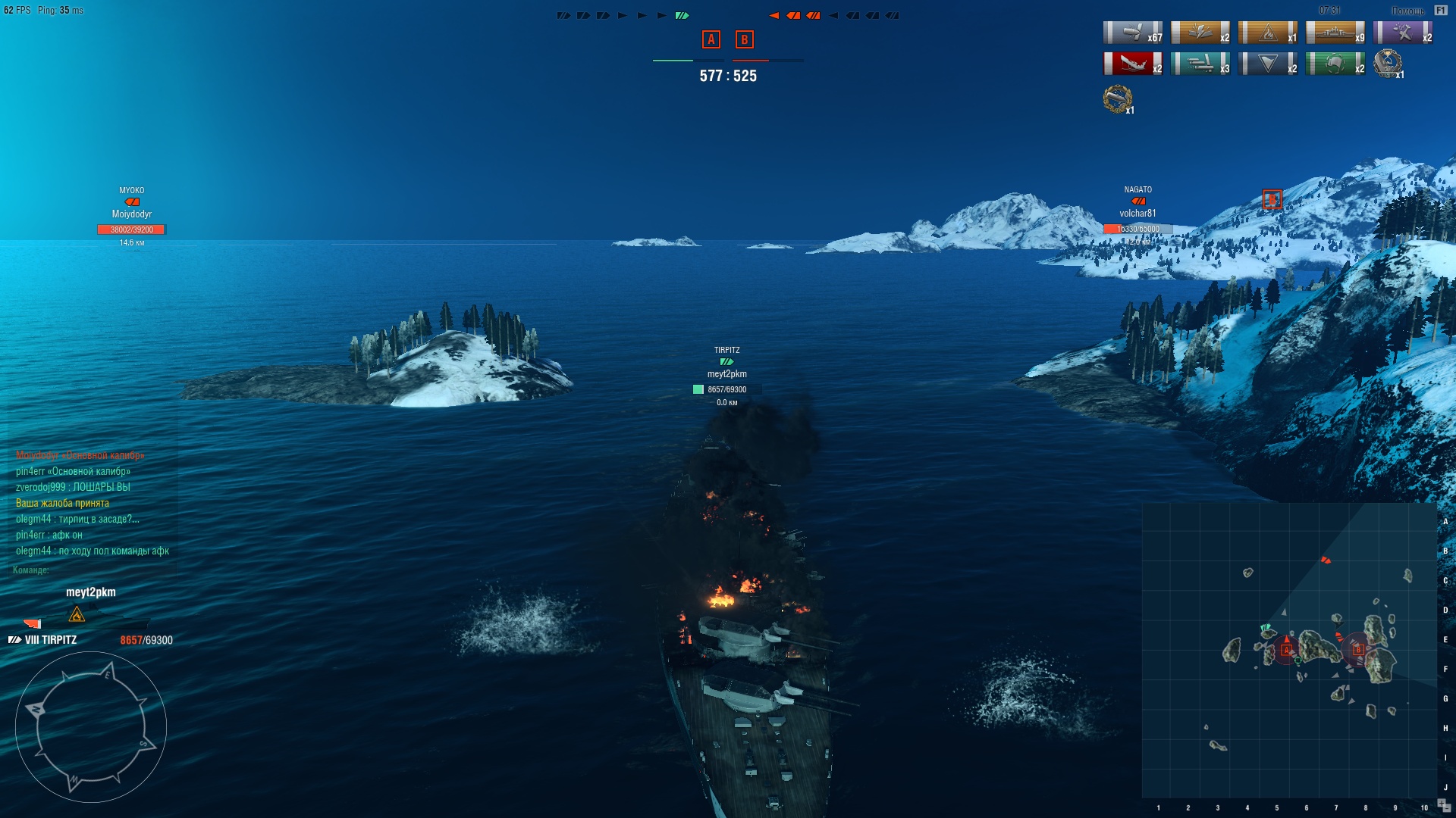 3516419.jpg