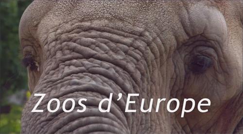 Зоопарки Европы / Les Zoos d' Europe (2007) HDTV 1080i Зоопарки Европы / Les Zoos d' Europe (2007) HDTV 1080i