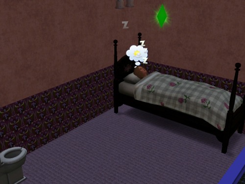 379173.jpg