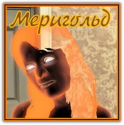 382135.jpg