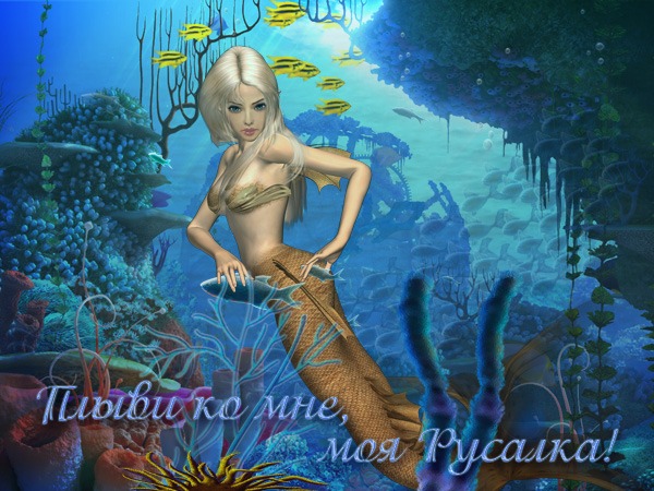 48589.jpg