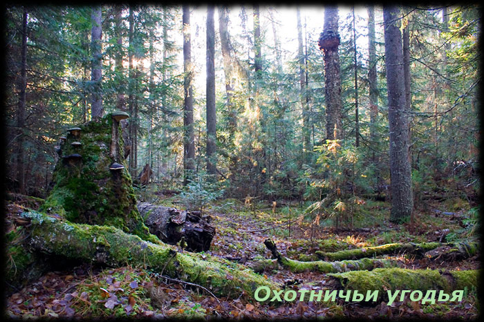 http://4put.ru/pictures/max/150/461361.jpg