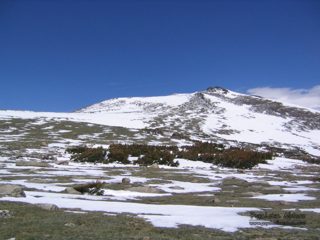 http://4put.ru/pictures/max/150/462404.jpg