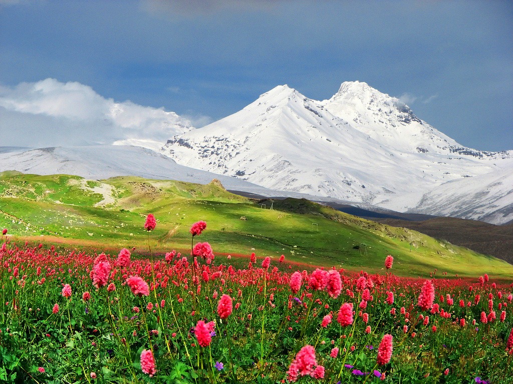 http://4put.ru/pictures/max/150/462934.jpg