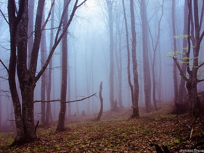 http://4put.ru/pictures/max/150/462988.jpg