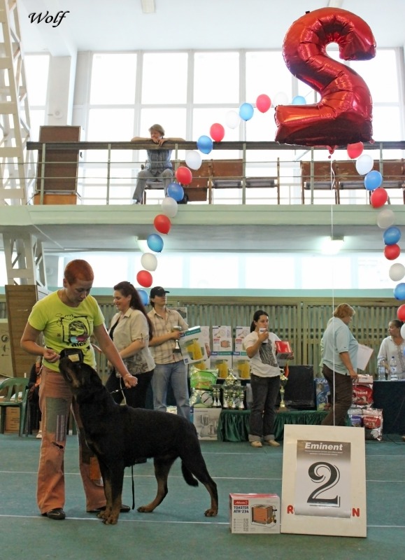 http://4put.ru/pictures/max/163/503168.jpg