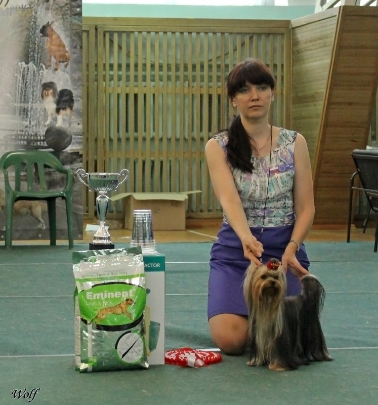 http://4put.ru/pictures/max/163/503176.jpg