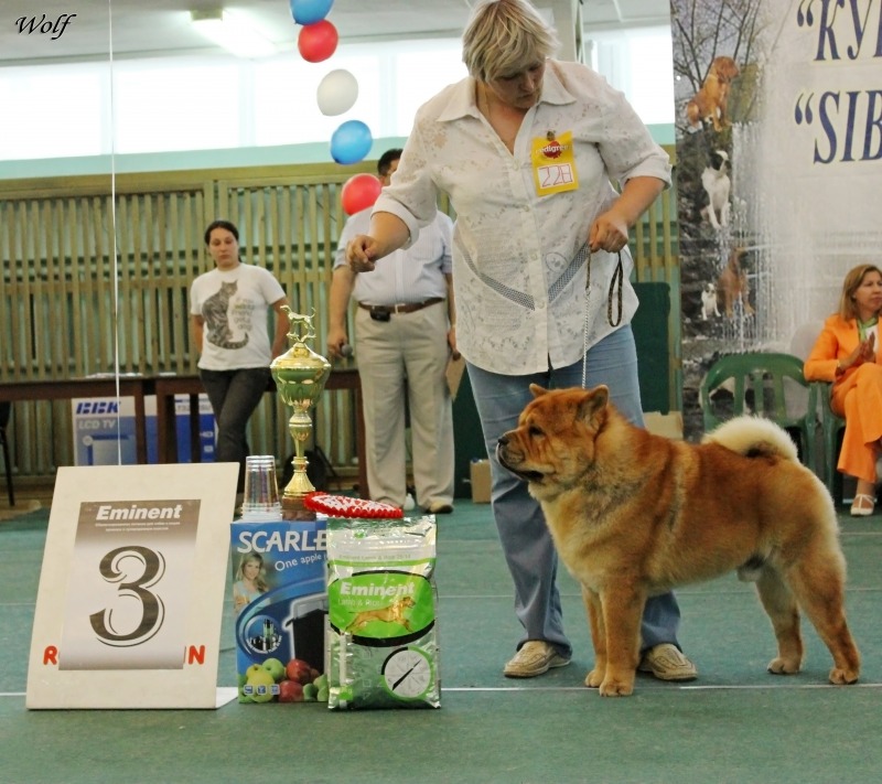 http://4put.ru/pictures/max/163/503185.jpg