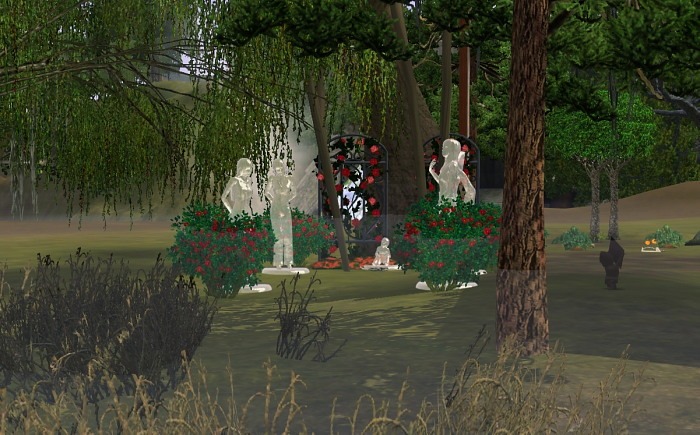 504404.jpg