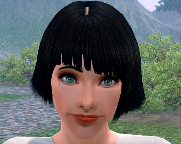 506707.jpg