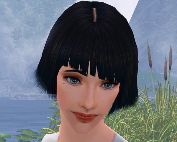 506710.jpg