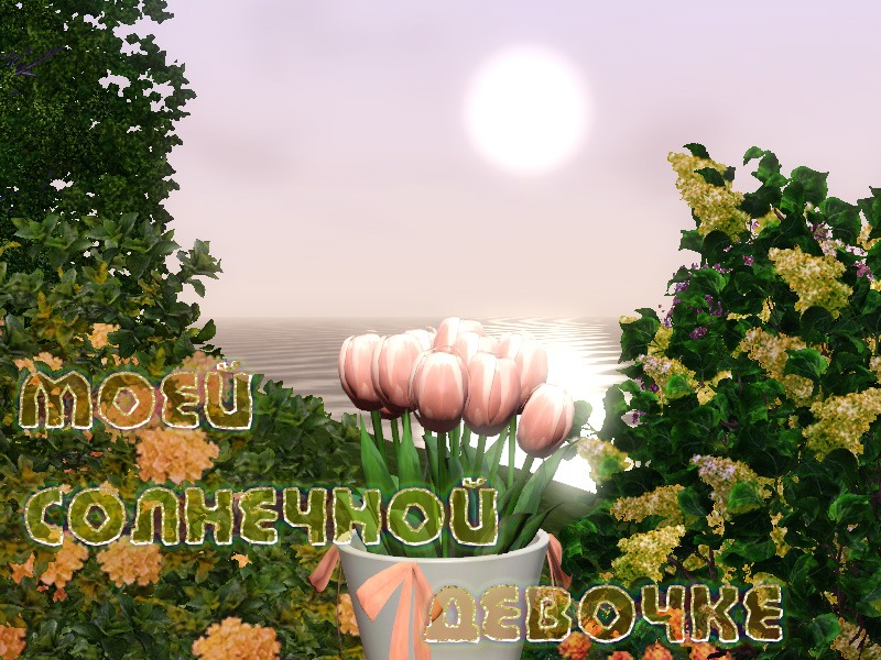 54142.jpg