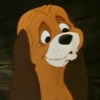 524073.gif