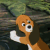 524075.gif