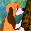 524105.gif