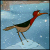 524146.gif