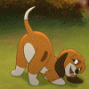524264.gif