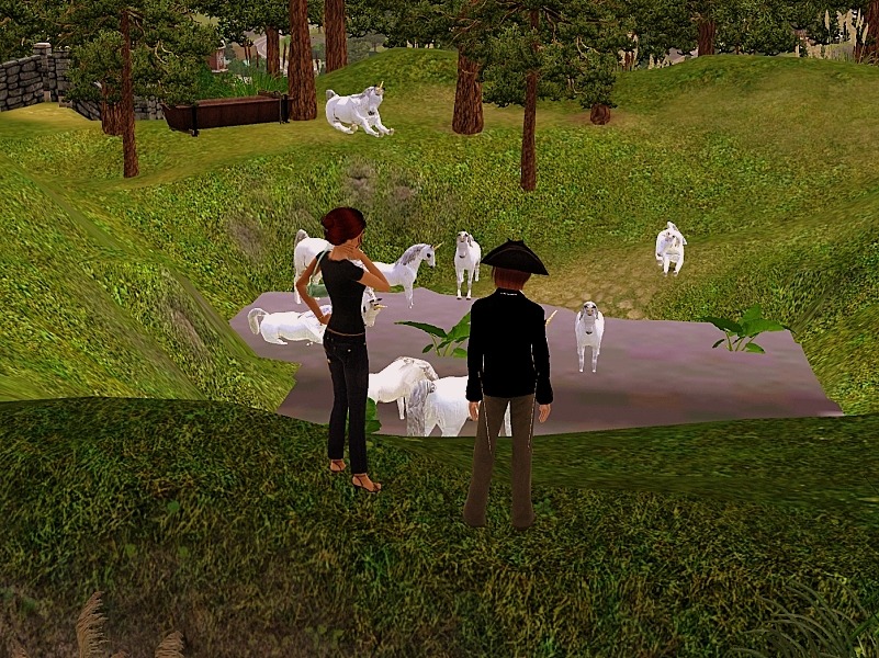 58502.jpg