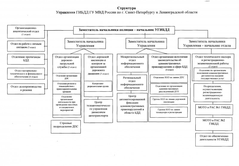 Структура мвд рф схема фото 648