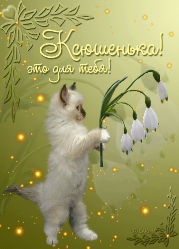 http://4put.ru/pictures/max/198/611145.gif