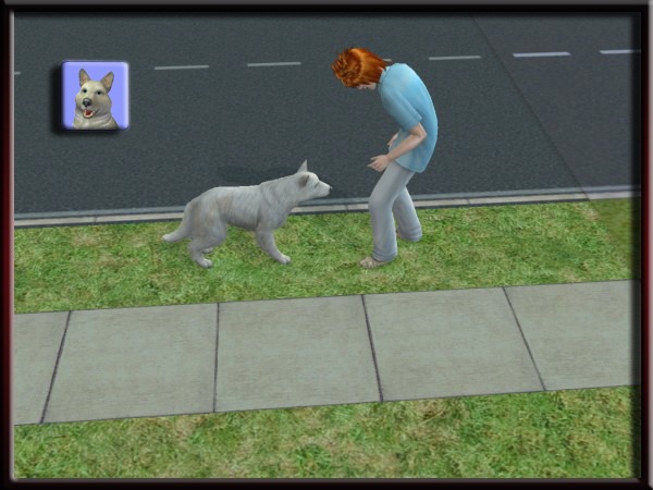 613471.jpg