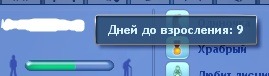 633530.jpg